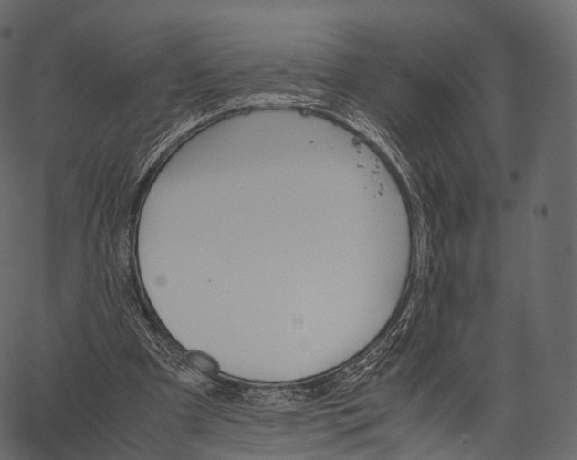 X0000062620297200601111041