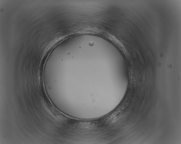 X0000062620298200601111041