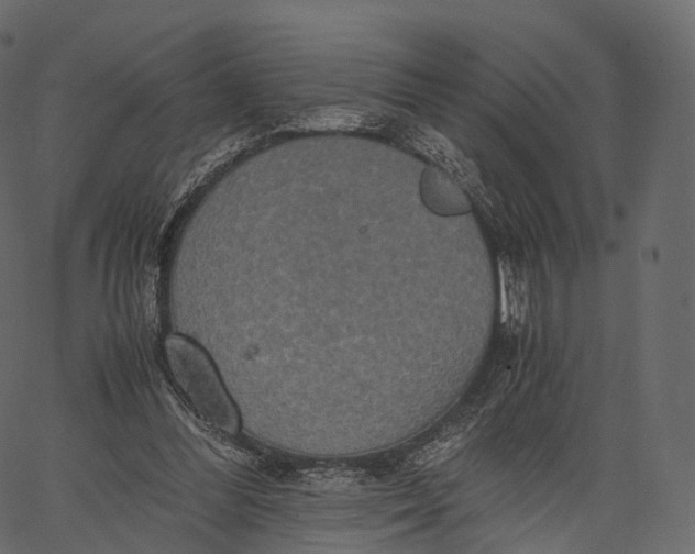 X0000062620300200601111041