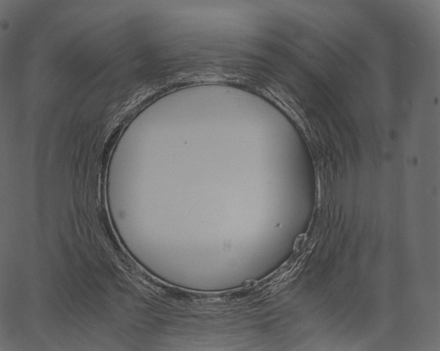 X0000062620301200601111041