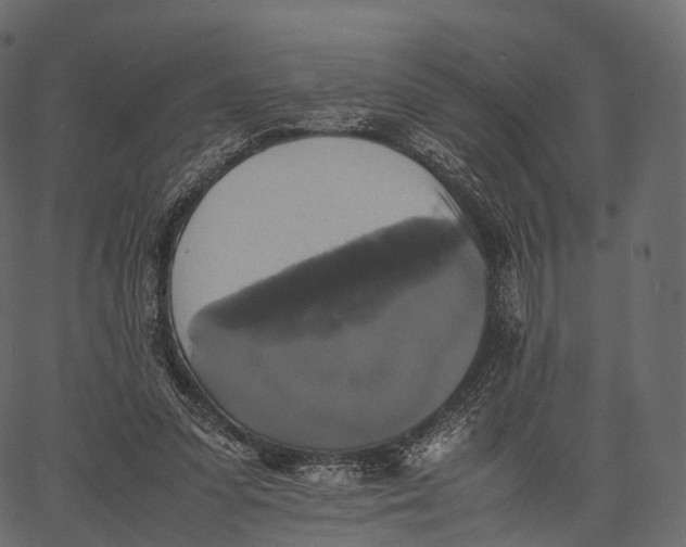 X0000062620303200601111041