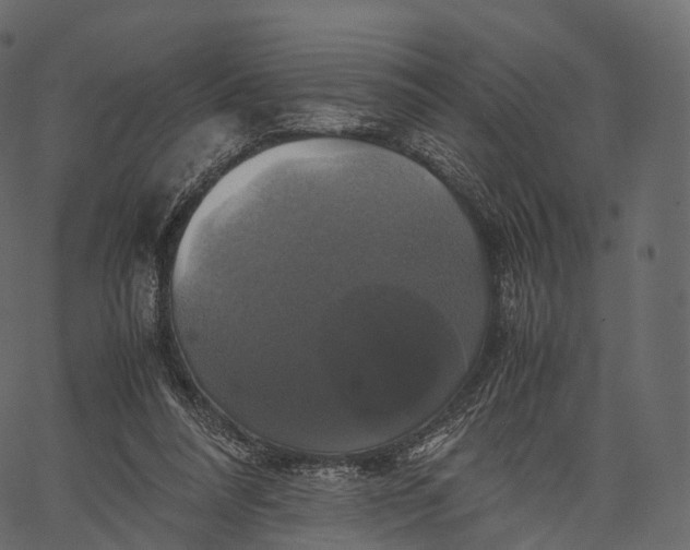 X0000062620304200601111041