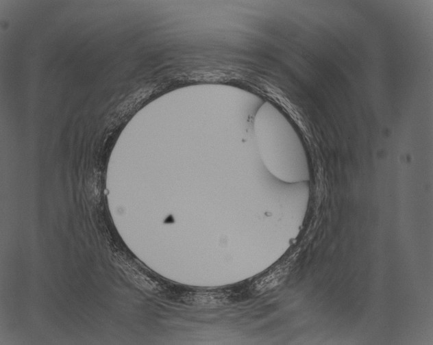 X0000062620305200601111041