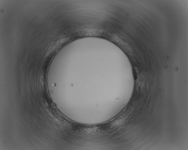 X0000062620306200601111041