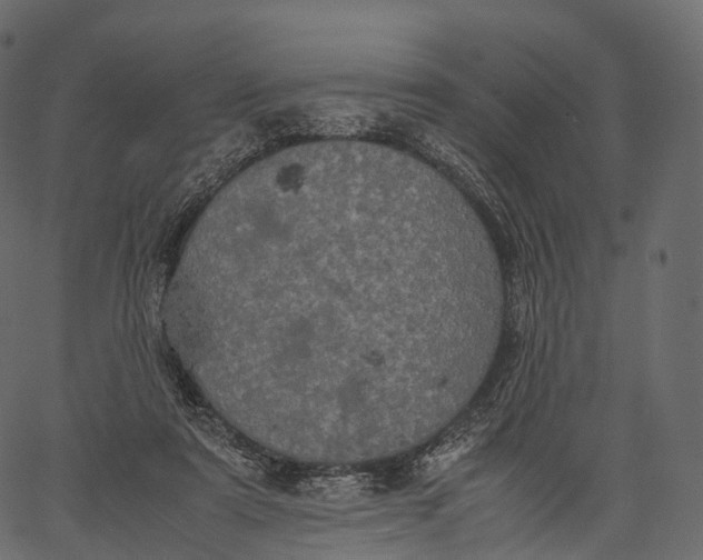 X0000062620307200601111041