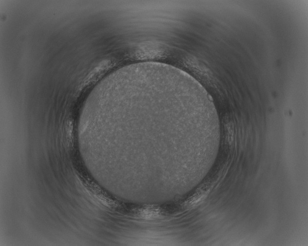 X0000062620308200601111041