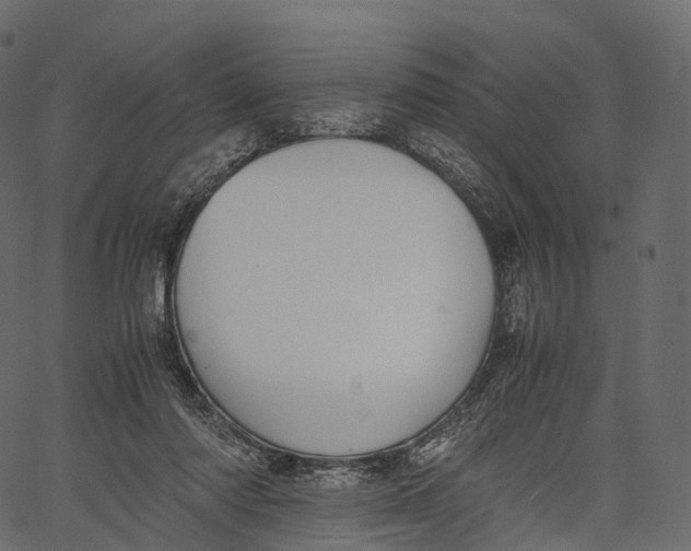 X0000062620310200601111041