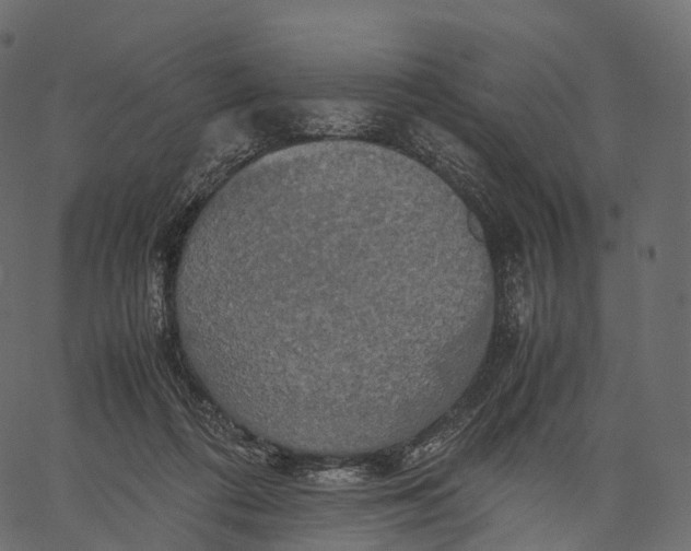 X0000062620312200601111041