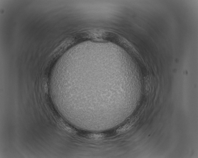 X0000062620313200601111041