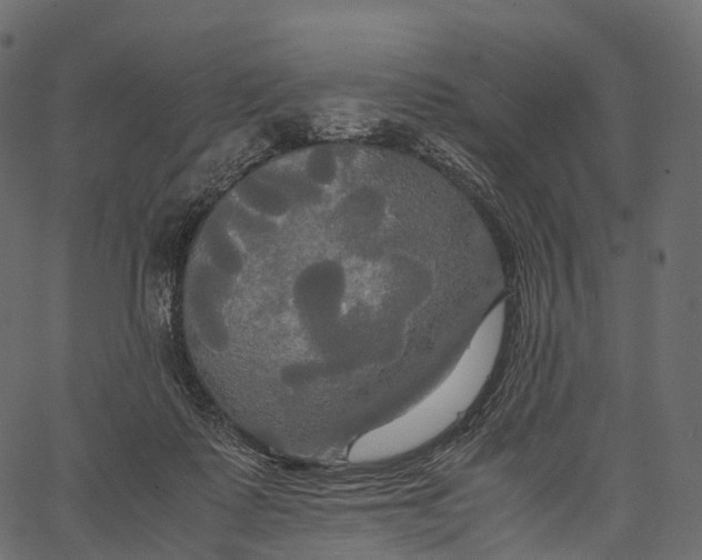 X0000062620315200601111041