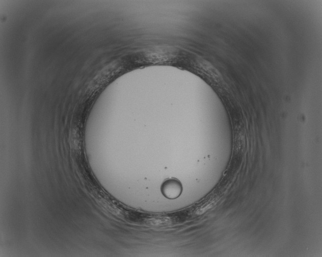 X0000062620317200601111041