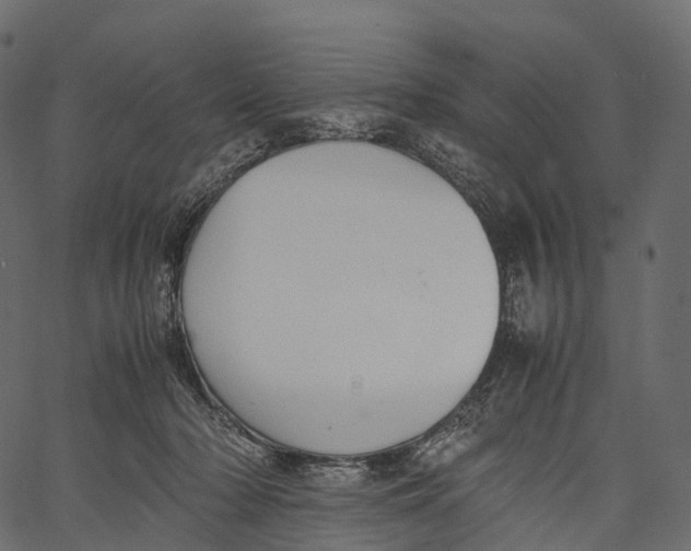 X0000062620318200601111041