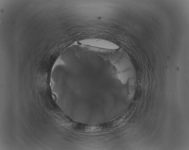 X0000062620319200601111041