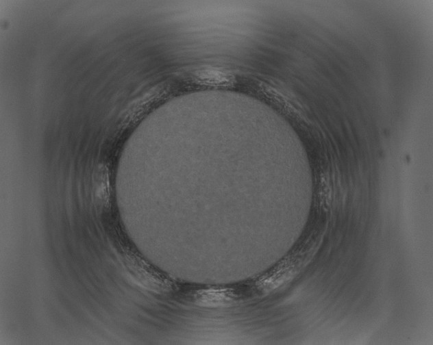 X0000062620320200601111041