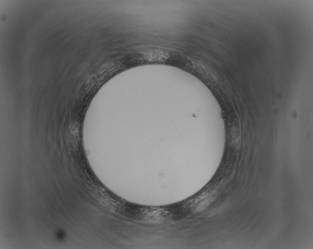 X0000062620321200601111041