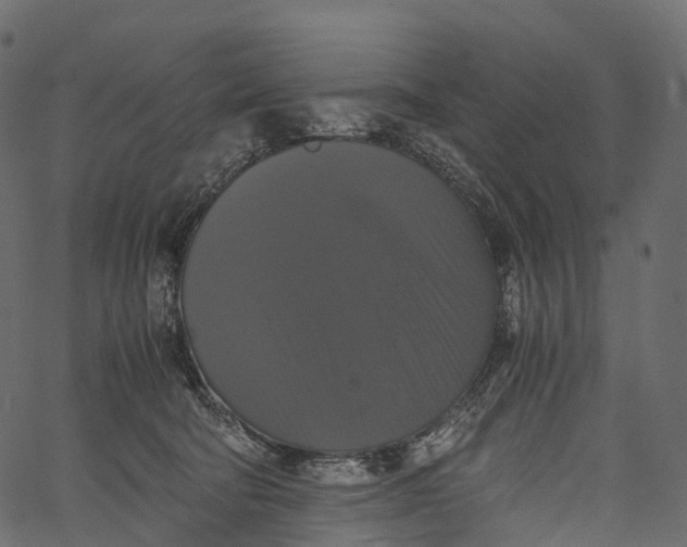 X0000062620322200601111041