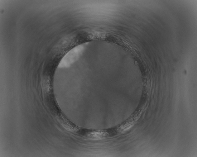 X0000062620323200601111041