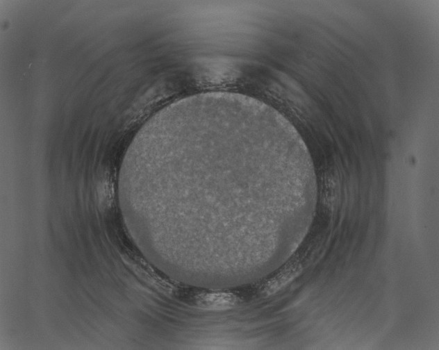 X0000062620324200601111041