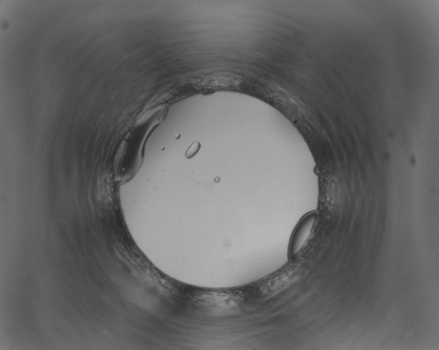 X0000062620326200601111041