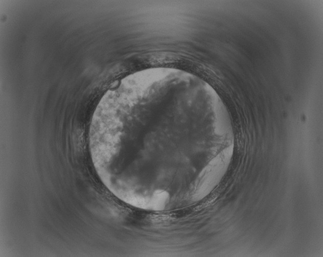 X0000062620327200601111041