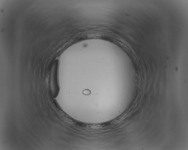 X0000062620329200601111041