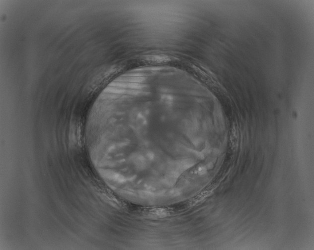 X0000062620330200601111041