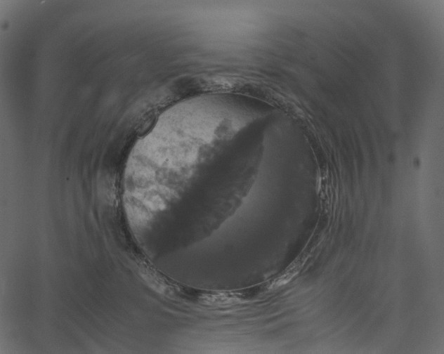 X0000062620331200601111041