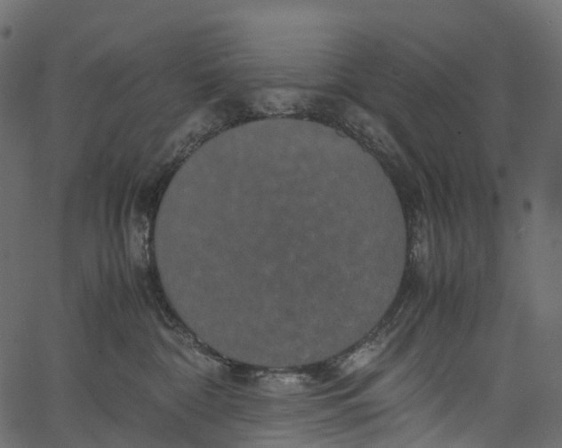 X0000062620332200601111040