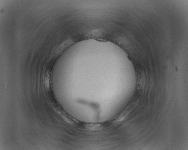 X0000062620334200601111040