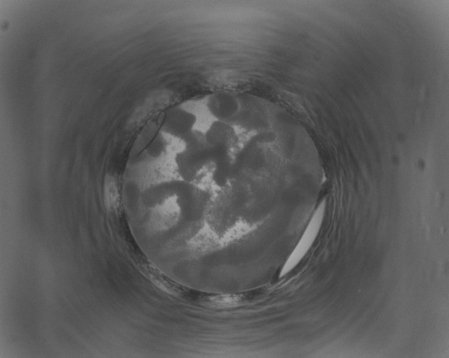 X0000062620335200601111040