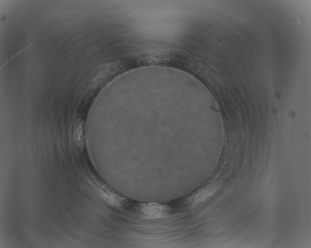 X0000062620336200601111040