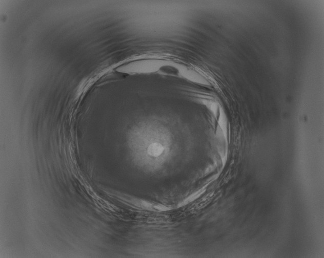 X0000062620337200601111040