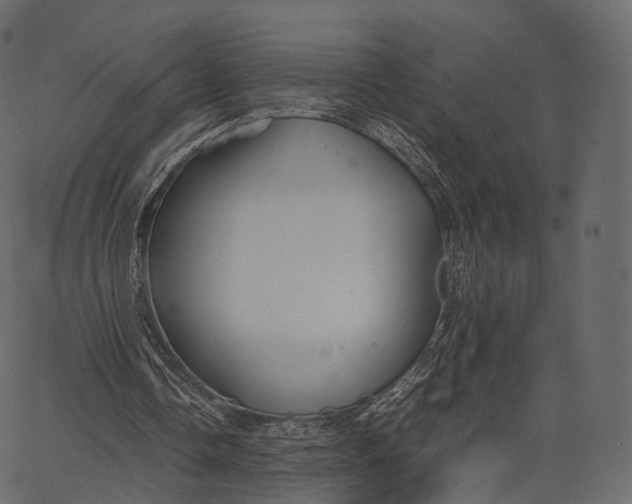 X0000062620338200601111040