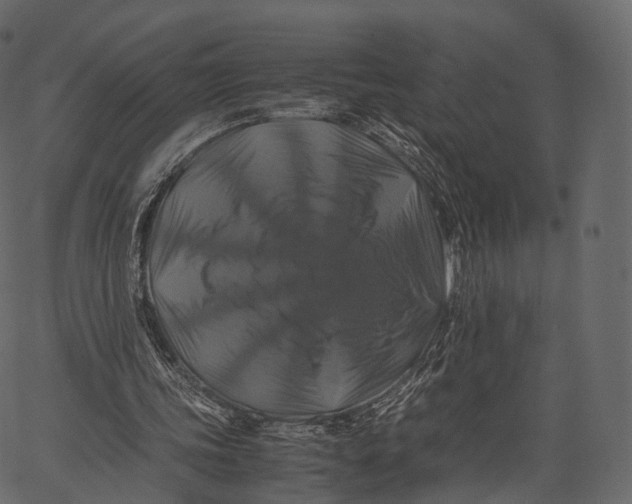 X0000062620339200601111040