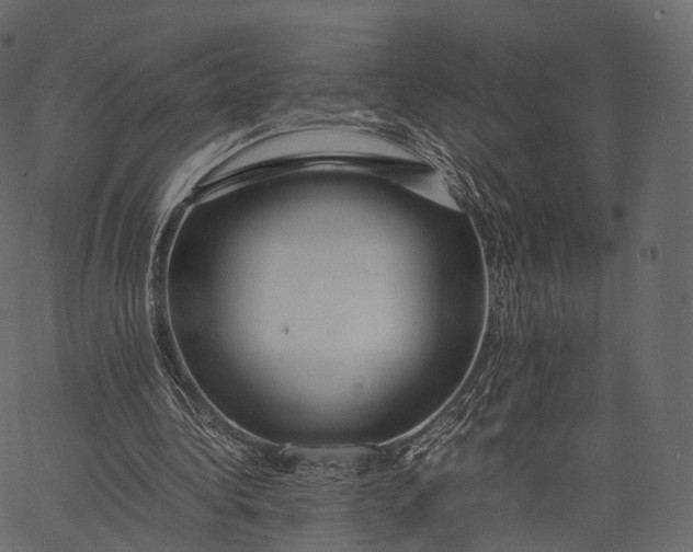 X0000062620340200601111040