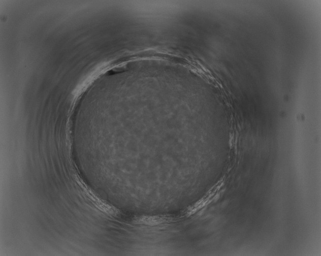 X0000062620341200601111040