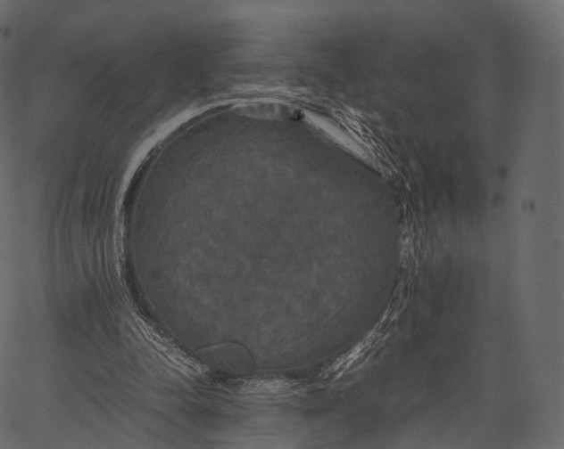 X0000062620342200601111040