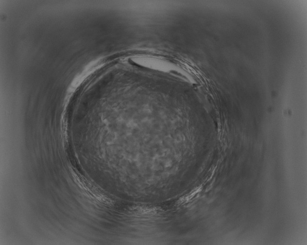 X0000062620343200601111040