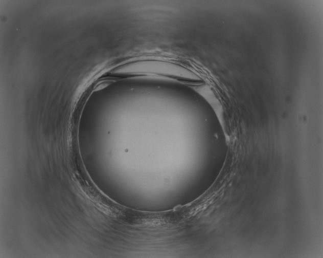 X0000062620344200601111040