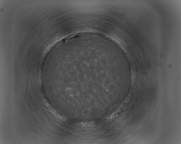 X0000062620345200601111040