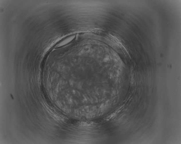 X0000062620346200601111040