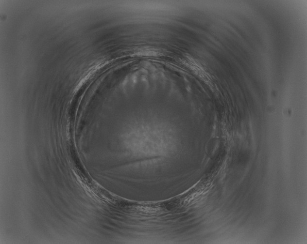 X0000062620347200601111040