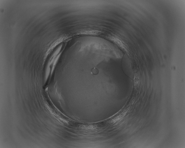 X0000062620349200601111040