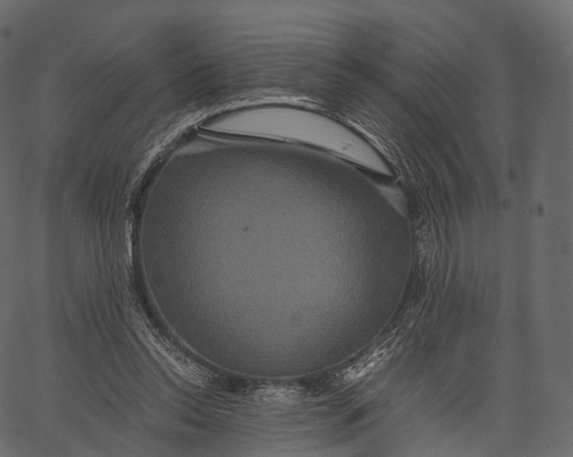 X0000062620350200601111040