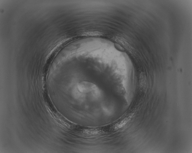 X0000062620351200601111040