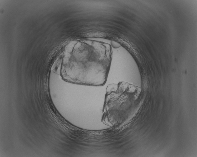 X0000062620353200601111040