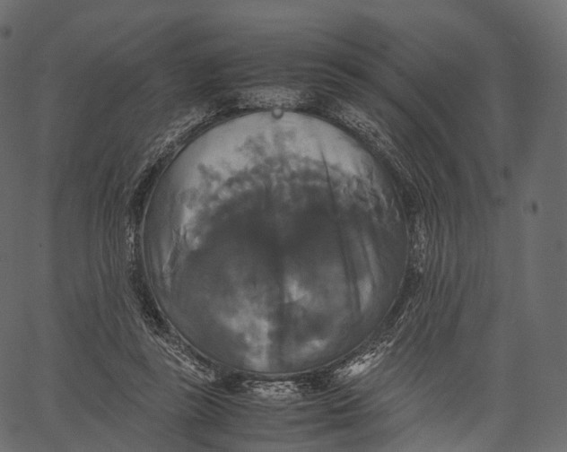 X0000062620355200601111040