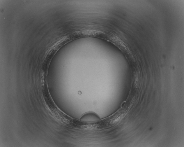 X0000062620356200601111040