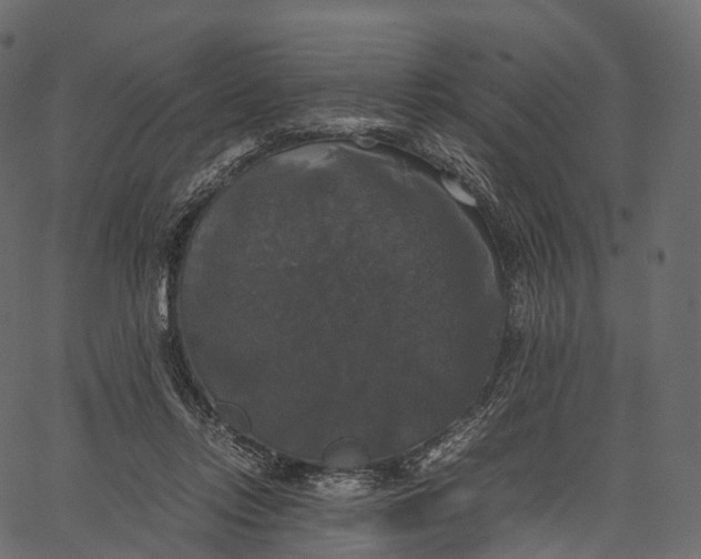 X0000062620358200601111040