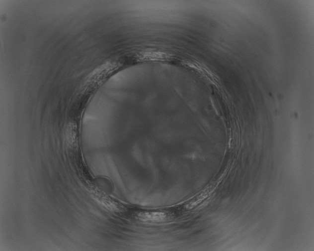 X0000062620361200601111040